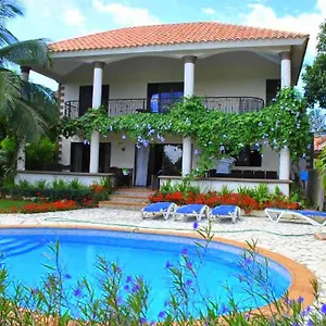 book here